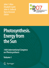 Photosynthesis. Energy from the Sun - 