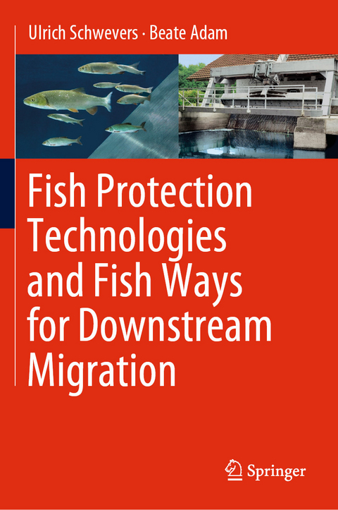 Fish Protection Technologies and Fish Ways for Downstream Migration - Ulrich Schwevers, Beate Adam