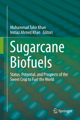 Sugarcane Biofuels - 