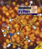 Metabolism at a Glance - Salway, J. G.