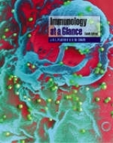 Immunology at a Glance - Playfair, J. H. L.; Chain, Benjamin