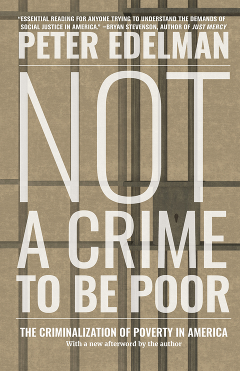 Not a Crime to Be Poor -  Peter Edelman