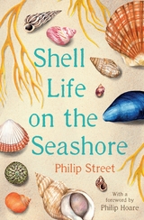 Shell Life on the Seashore -  Philip Street