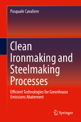 Clean Ironmaking and Steelmaking Processes - Pasquale Cavaliere