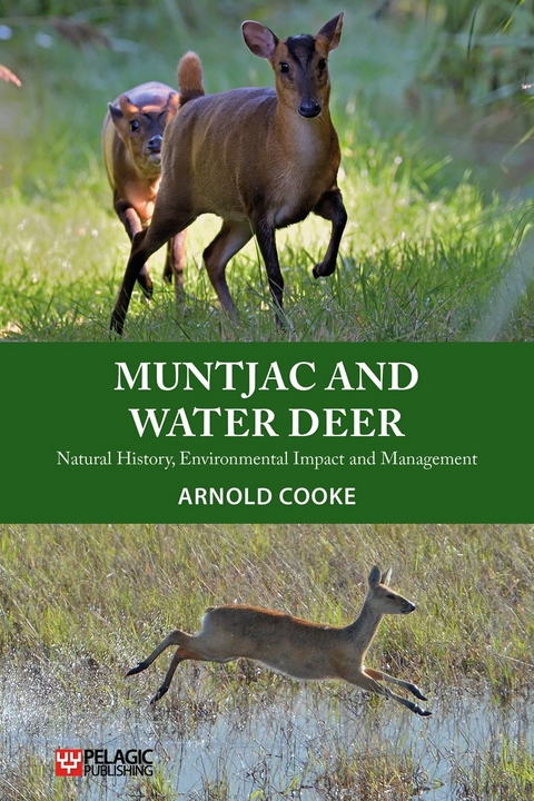 Muntjac and Water Deer - Arnold Cooke