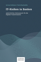 IT-Risiken in Banken - Gerhard Hellstern, Patrik Buchmüller