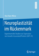 Neuroplastizität im Rückenmark - Uwe Hans Wiese