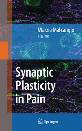 Synaptic Plasticity in Pain - 