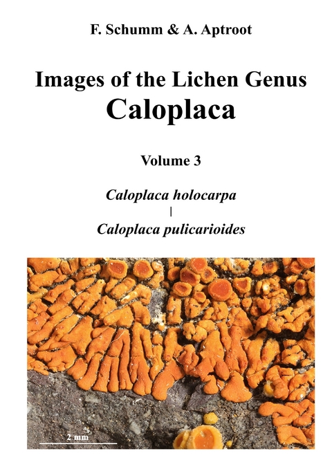 Images of the Lichen Genus Caloplaca, Vol 3 - Felix Schumm, André Aptroot