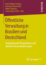 Öffentliche Verwaltung in Brasilien und Deutschland - 