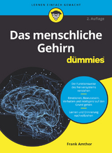 Das menschliche Gehirn für Dummies - Frank Amthor