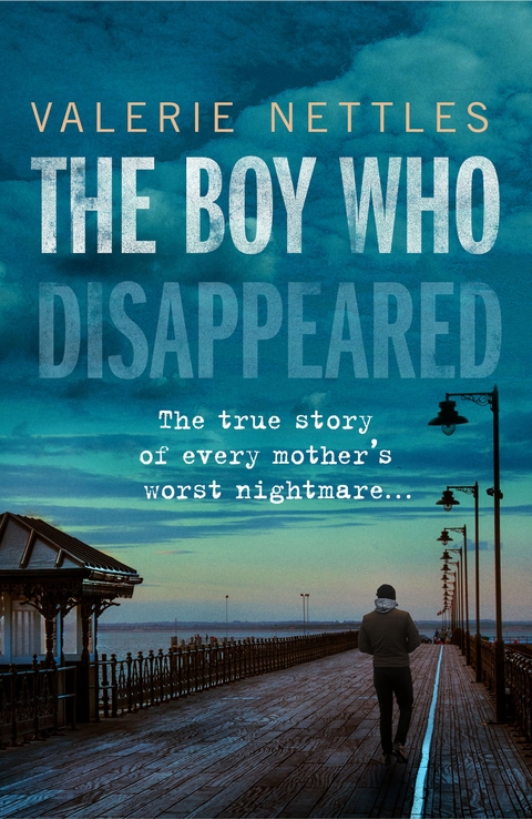 Boy Who Disappeared -  Valerie Nettles