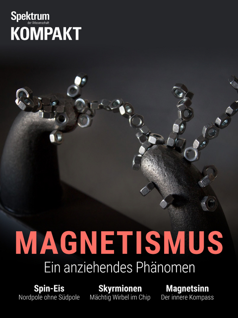 Spektrum Kompakt - Magnetismus -  Spektrum der Wissenschaft