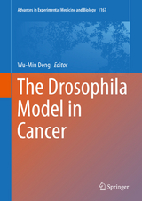 The Drosophila Model in Cancer - 