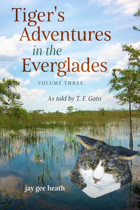 Tiger's Adventures in the Everglades  Volume Three - Jay Gee Heath