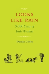 Looks Like Rain - Damian Corless