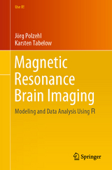 Magnetic Resonance Brain Imaging - Jörg Polzehl, Karsten Tabelow