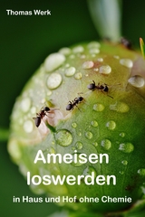 Ameisen loswerden - Thomas Werk