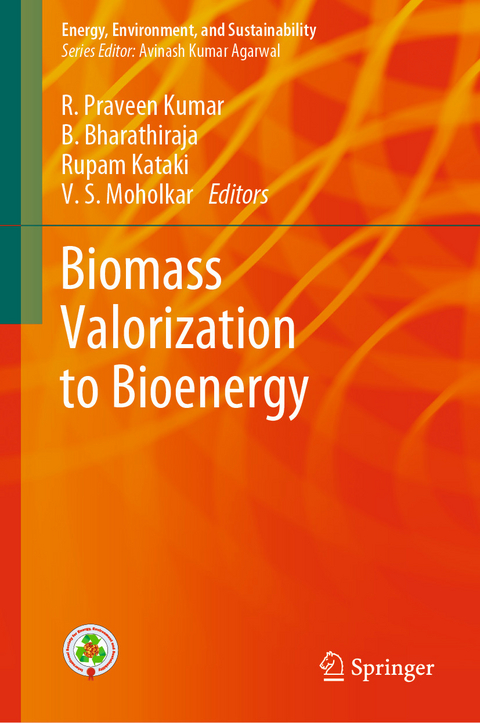 Biomass Valorization to Bioenergy - 