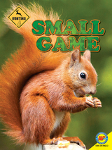 Small Game - Janet Gurtler