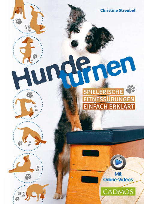 Hundeturnen - Christine Streubel