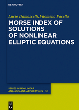 Morse Index of Solutions of Nonlinear Elliptic Equations - Lucio Damascelli, Filomena Pacella