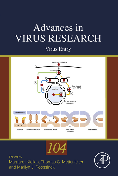 Virus Entry - 