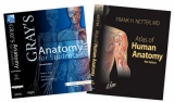 Atlas of Human Anatomy and Gray's Anatomy for Students - Netter, Frank H.; Drake, Richard