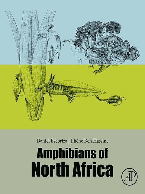 Amphibians of North Africa -  Daniel Escoriza,  Jihene Ben Hassine