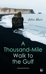 A Thousand-Mile Walk to the Gulf (Illustrated Edition) - John Muir