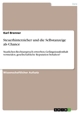 Steuerhinterzieher und die Selbstanzeige als Chance - Karl Brenner