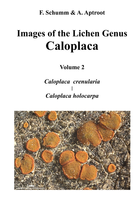 Images of the Lichen Genus Caloplaca, Vol 2 -  Felix Schumm,  André Aptroot