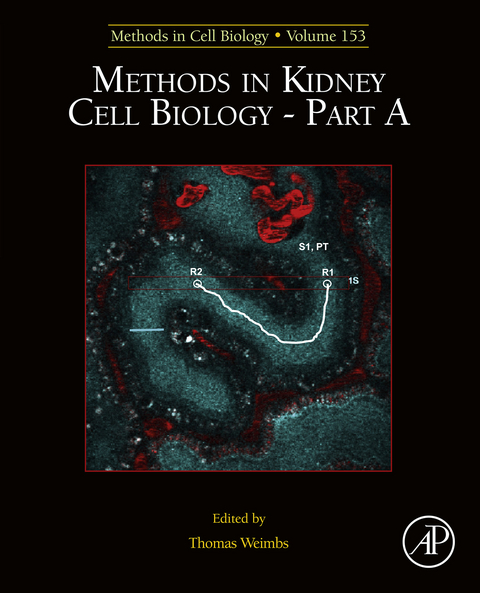 Methods in Kidney Cell Biology Part A - 