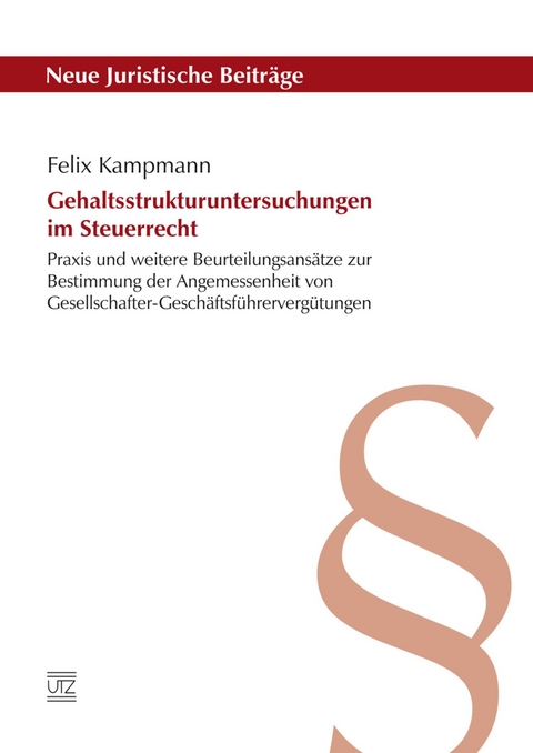 Gehaltsstrukturuntersuchungen im Steuerrecht -  Felix Kampmann