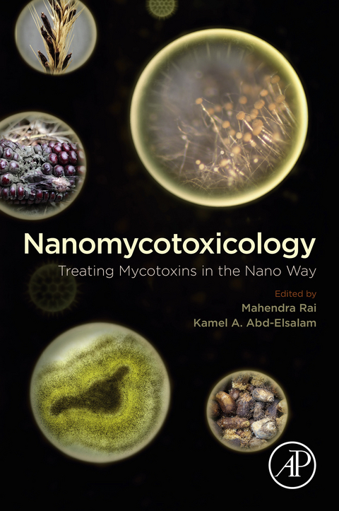 Nanomycotoxicology - 