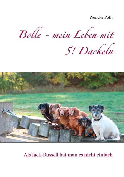 Bolle - mein Leben mit 5! Dackeln - Wencke Poth