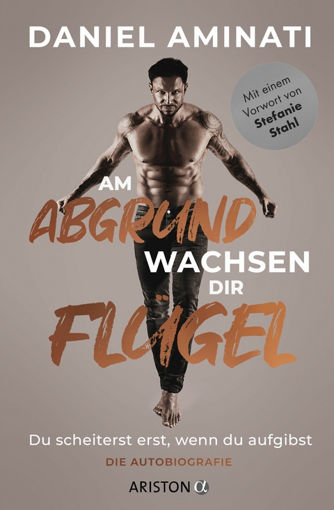 Am Abgrund wachsen dir Flügel - Daniel Aminati