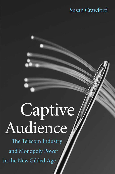 Captive Audience -  Crawford Susan Crawford