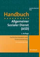 Fachliches Handeln und Finanzsteuerung - Joachim Merchel