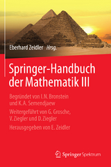 Springer-Handbuch der Mathematik III - 