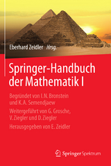 Springer-Handbuch der Mathematik I - 