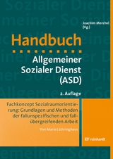 Fachkonzept Sozialraumorientierung: Grundlagen und Methoden der fallunspezifischen und fallübergreifenden Arbeit - Maria Lüttringhaus