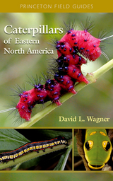 Caterpillars of Eastern North America - David Wagner