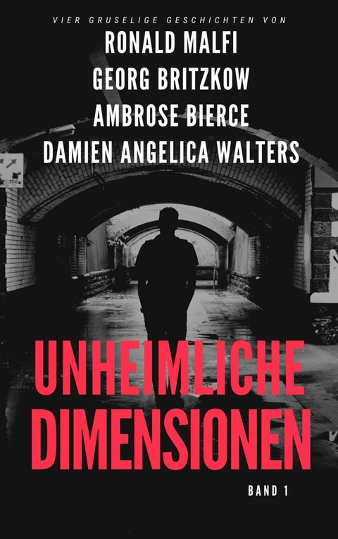 Unheimliche Dimensionen - Georg Britzkow, Ronald Malfi, Ambrose Bierce, Damien Angelica Walters