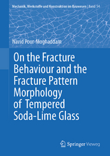 On the Fracture Behaviour and the Fracture Pattern Morphology of Tempered Soda-Lime Glass - Navid Pour-Moghaddam