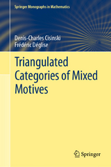 Triangulated Categories of Mixed Motives - Denis-Charles Cisinski, Frédéric Déglise