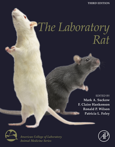 Laboratory Rat - 