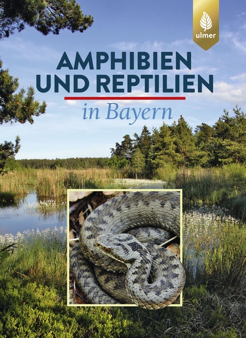 Amphibien und Reptilien in Bayern - Eberhard Andrä, Otto Aßmann, Thomas Dürst, Günter Hansbauer, Andreas Zahn