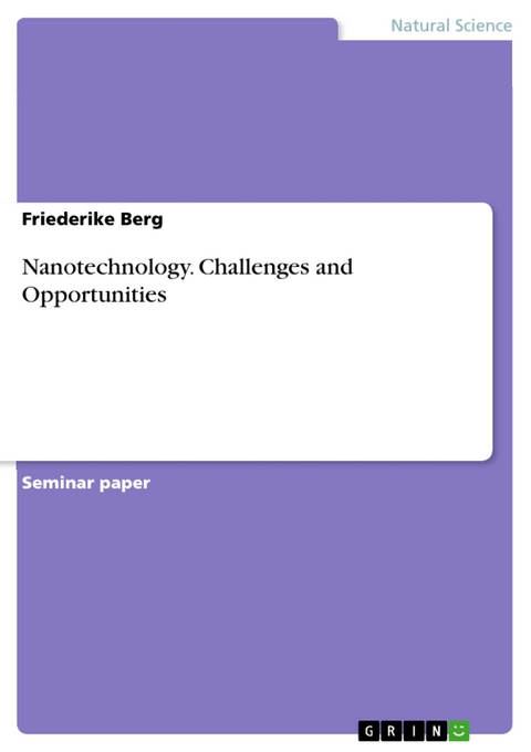 Nanotechnology. Challenges and Opportunities - Friederike Berg