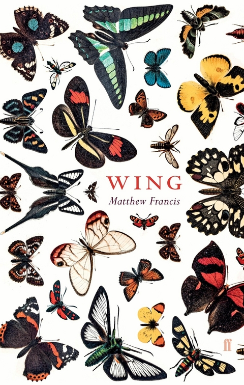 Wing -  Matthew Francis